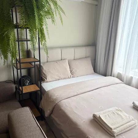 студио Bella Apartman