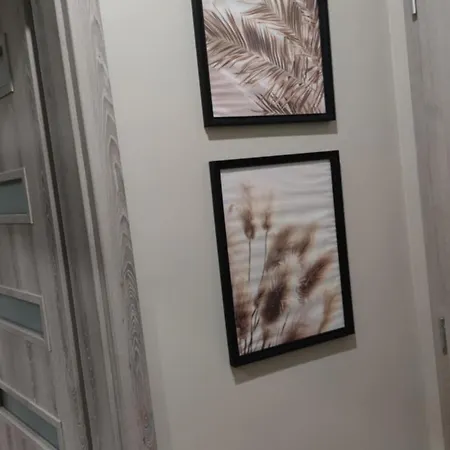 студио Bella Βάρνα